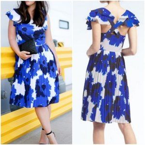 Banana Republic Floral Ruffle Sleeve Dress (sz. 10